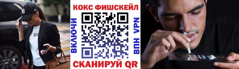 Кокаин Fish Scale  Купить  Петровск-Забайкальский 