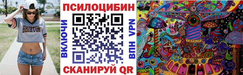 Купить где  Петровск-Забайкальский  Псилоцибиновые грибы Magic Shrooms 